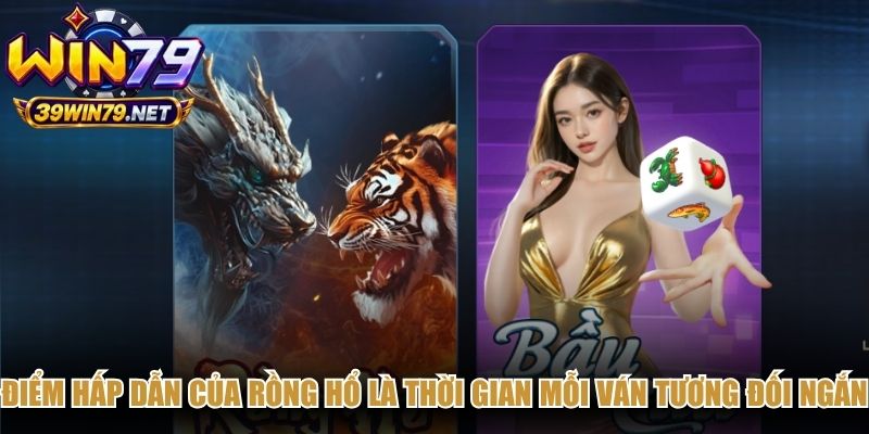 Điểm hấp dẫn của rồng hổ là thời gian mỗi ván tương đối ngắn
