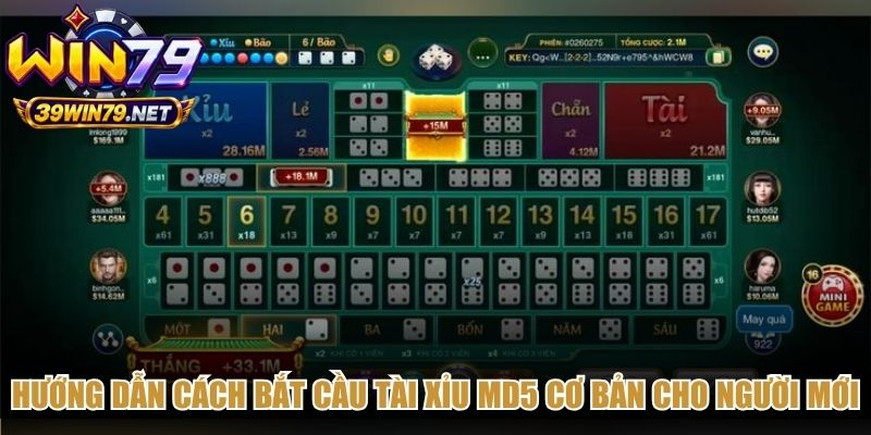 Hướng dẫn cách bắt cầu tài xỉu MD5 cơ bản cho người mới